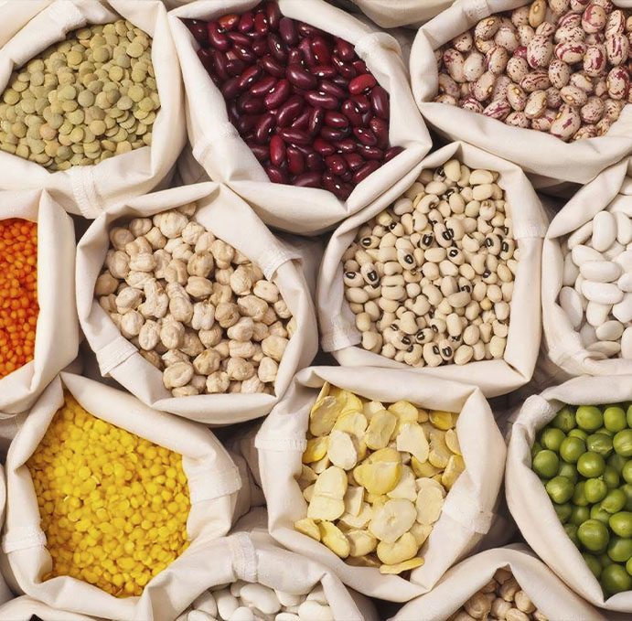 Grains, pulses and oilseeds